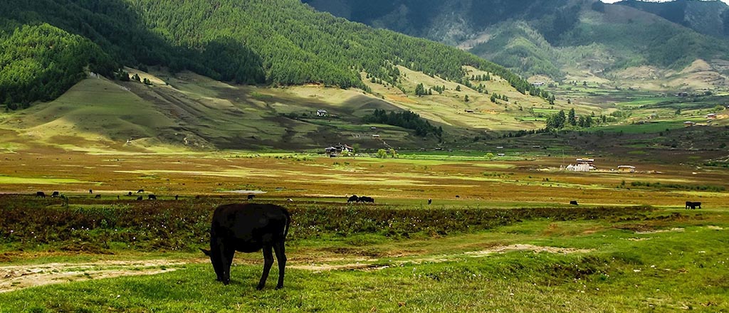 The Valleys of Bhutan